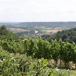 Braida Wine * Rocchetta Tanaro