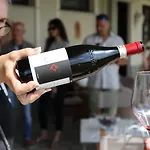 Braida Wine Rocchetta Tanaro