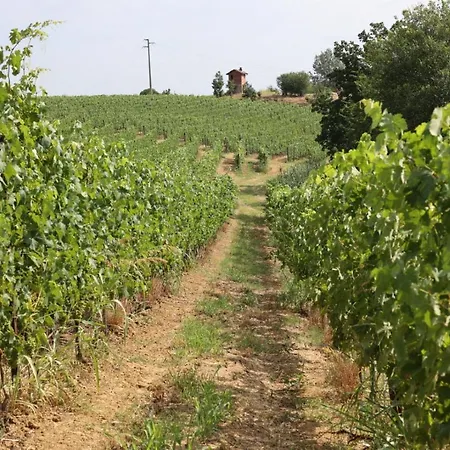 Braida Wine *