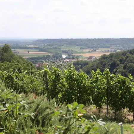 Braida Wine * Rocchetta Tanaro