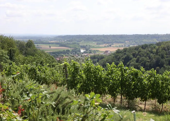 Braida Wine * Rocchetta Tanaro